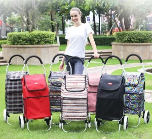 2 Wheel Vegetable Shopping Trolley Bag Cart for Old People