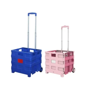 45L Large Capacity Foldable Shopping Cart 2 Wheel Portable Trolley with Telescopic Handle Waterproof Supermarket Trolley