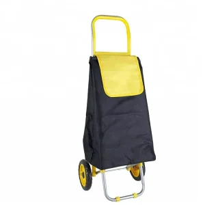 Carbon Steel 2 Wheels Supermarket Push Cart Trolley Shopping Bag for Supermarket