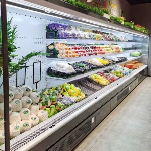 Commercial Display Refrigeration Equipment Cooler for Vegetables and Fruits C Store Plug in Single Temperature Chiller