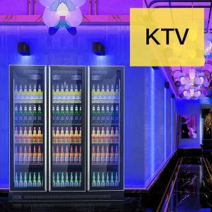 Commercial Upright Glass Door Display Refrigerator Beverage Cooler for Supermarket