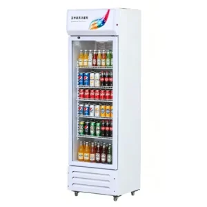 Convenience Store Commercial Glass Door Beverage Display Refrigerator Upright Drink Display Refrigerator