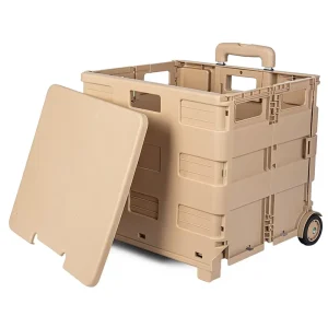 Custom Portable Plastic Folding 2 Wheels Shopping Trolley Supermarket Shopping Vegetable Storage Hand Carts