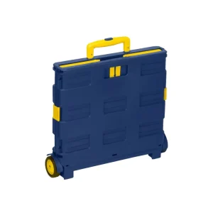 Customizable Foldable Plastic Shopping Cart with 2 Wheels Supermarket Grocery Vegetable Food Storage Trolley