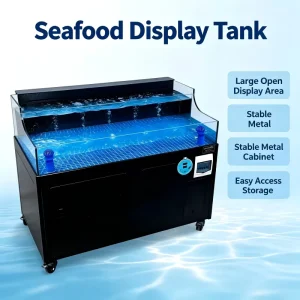 Customized 2 Tier Stainless Steel Shelf Display for Supermarket Outdoor Live Shellfish Fish Seafood Pool Made Glass Material