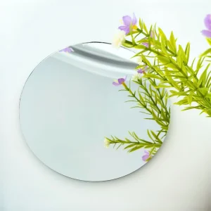 Frameless Industrial Design Glass 5X Magnifying Vanity Mirror 145mm Diameter Decorative