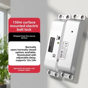 High Security 200mA Electric Bolt Lock NO NC Delay Device Electric Deadbolt Lock Stainless Steel Anti Theft Fire Door Locks
