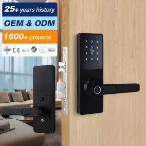 High Security Aluminum Alloy RFID Card Fingerprint Electronic Digital Waterproof Smart Door Lock