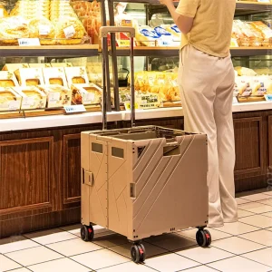 Plastic Shopping Trolley Handle Pull Cart With 4 Universal Wheels Popular Pack and Roll Trolly Shopping Cart