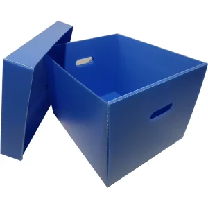 Professional Factory Made Recyclable Collapsible Plastic File Storage Box