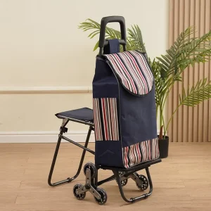 Supermarket Store Portable Foldable Camping Car Bag Vegetable Shopping Hand Carts Shopping Trolley Bag with Wheel