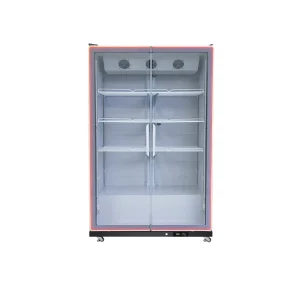 Supermarket Upright Commercial Refrigerator Illuminated Door Large Capacity Beverage Refrigerator