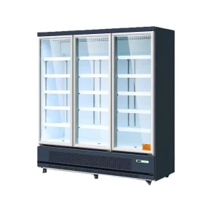 Supermarkets and Convenience Stores Double Glass Door Frozen Display Cabinets Single Temperature Used for Freezing Chicken Beef