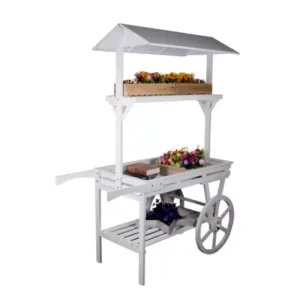 Wood Flower Carts and Handcarts for Street Vendors Store Display Stands DIY Modern Design